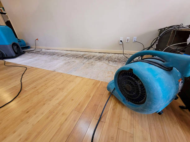 Professional Structural Drying technician working in Victor, WV
